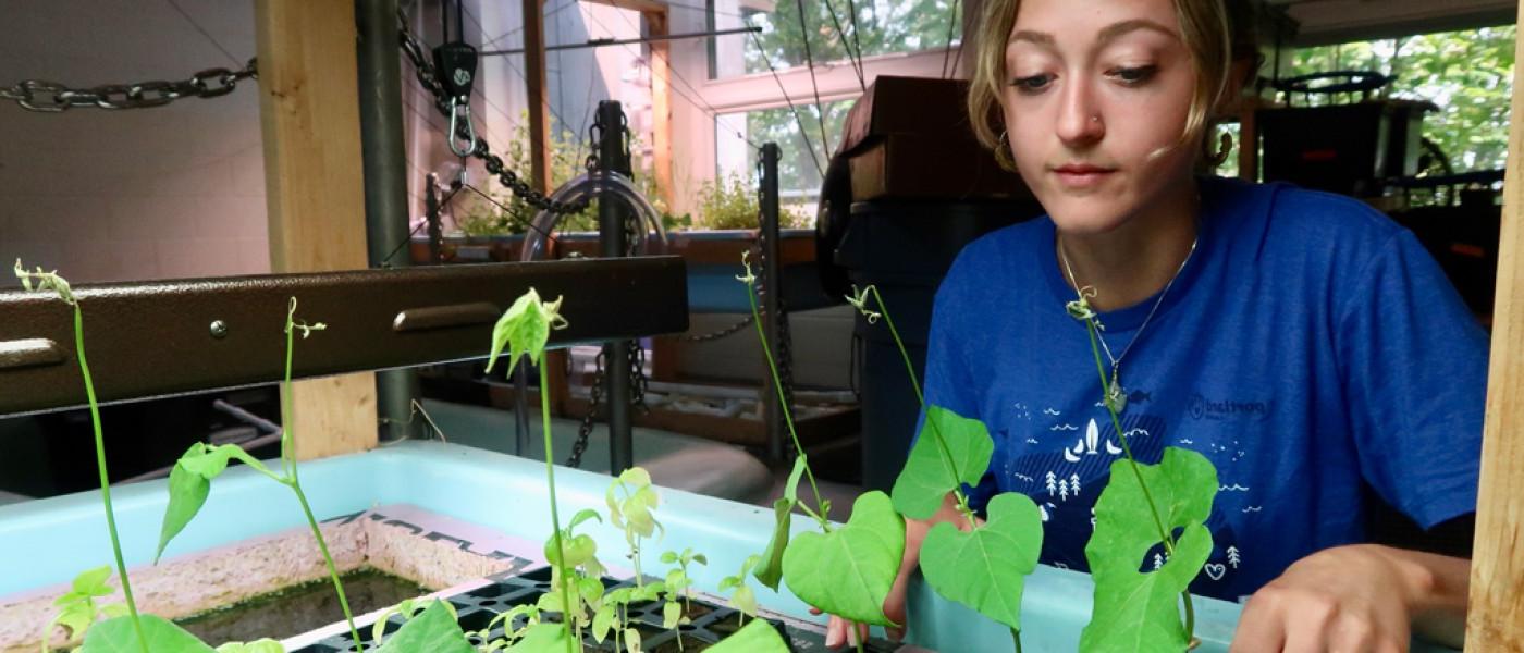 An Aquaculture student viewing their growing plants